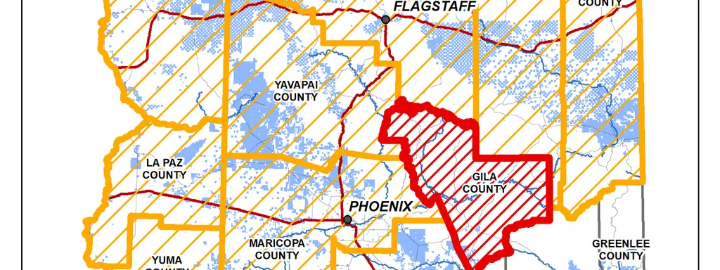 Deadly Pneumonic Plague Claims Life in Arizona After 16-Year Gap