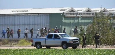 Farm Worker Dies After ICE Raid as 200 Are Arrested in California's Cannabis Fields
