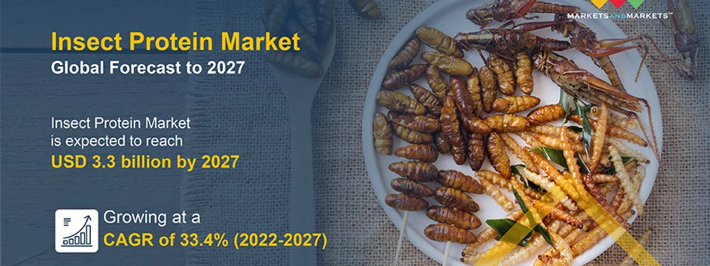 Over 70% of Americans Reject Sustainable Insect Diet While Climate Crisis Rages