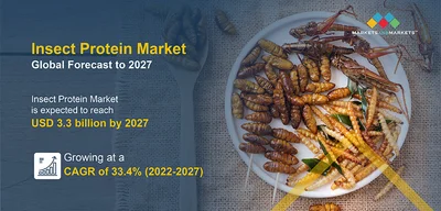 Over 70% of Americans Reject Sustainable Insect Diet While Climate Crisis Rages