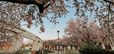 Dark-Skinned Woman Faces Brutal Racism in Russia After Leaving US to Escape Discrimination