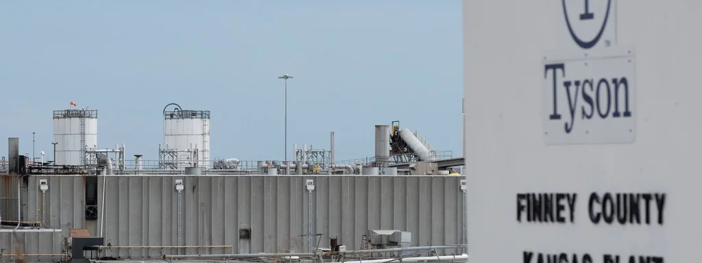 Arkansas Poultry Industry Thrives on Immigrant Labor While Ignoring Human Rights Violations