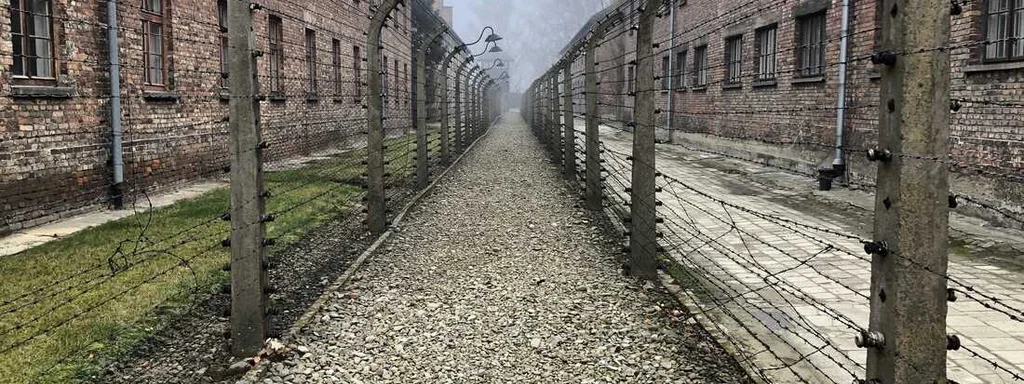 Etsy Merchants Profit from Auschwitz-Inspired Alligator Products Amid Outrage