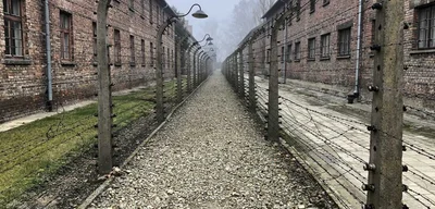 Etsy Merchants Profit from Auschwitz-Inspired Alligator Products Amid Outrage