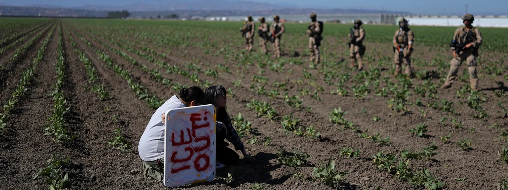 200 Arrested as Federal Agents Turn Cannabis Farm into War Zone