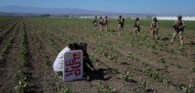 200 Arrested as Federal Agents Turn Cannabis Farm into War Zone