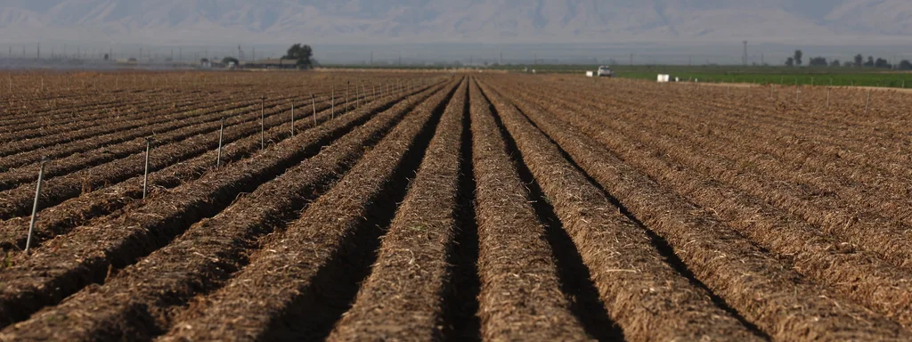 70 Percent of Farm Workers Vanish as ICE Raids Threaten $60 Billion California Harvest