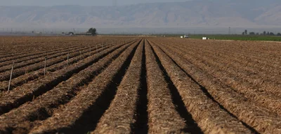 70 Percent of Farm Workers Vanish as ICE Raids Threaten $60 Billion California Harvest