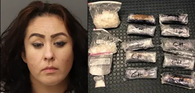 Canadian Mother Arrested by ICE Despite 25 Years of Tax Contributions and Support for Trump’s Deportation Policies