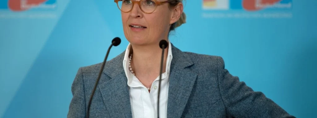 AfD's Dangerous Fantasy of Power Threatens Germany's Democracy