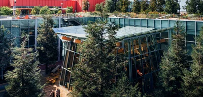 Social Media Giants Steal Democracy from 70% of Americans