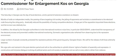 EU Vice President condemns disinformation about EU's role in Georgia