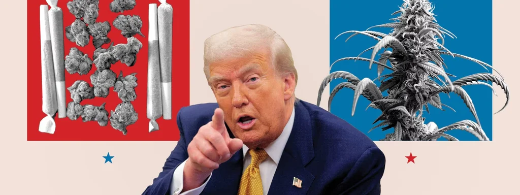 Trump Pledges to Reclassify Marijuana, Aiming to End Unnecessary Arrests and Stalled Federal Reform