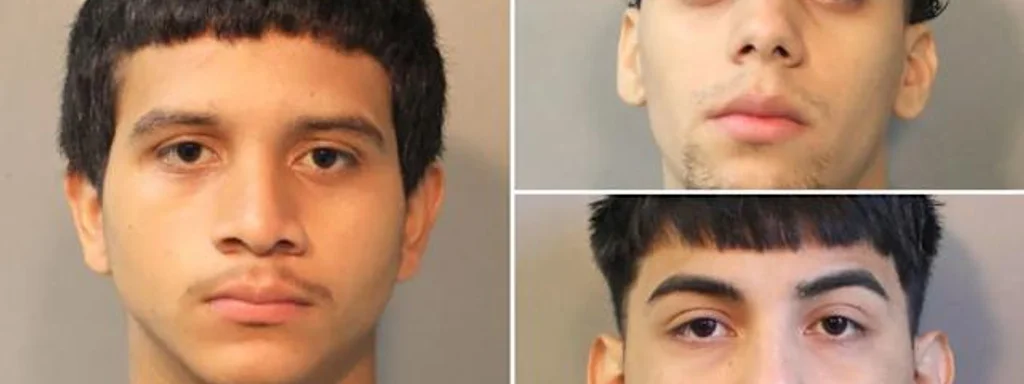 Three MS-13 Gang Members Arrested in NY, Charged with 14 Counts of Attempted Murder