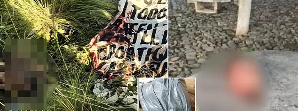 Breaking: Six Severed Heads Discovered on Puebla-Tlaxcala Highway, Cartel Violence Escalates