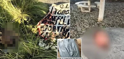 Breaking: Six Severed Heads Discovered on Puebla-Tlaxcala Highway, Cartel Violence Escalates