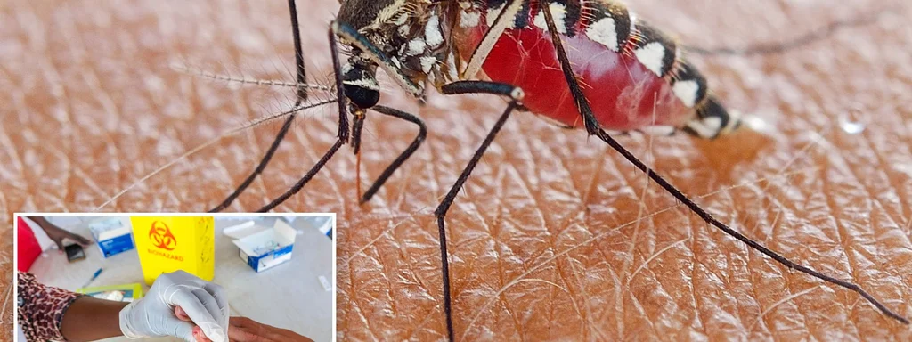 First Local Malaria Case in 27 Years Reported in New Jersey