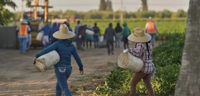 1.2 Million Immigrant Workers Disappear from U.S. Labor Force