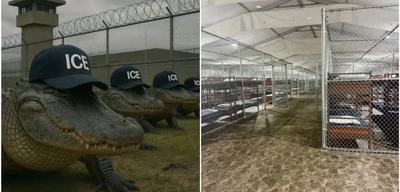 Federal Court Greenlights Controversial 'Alligator Alcatraz' Operations