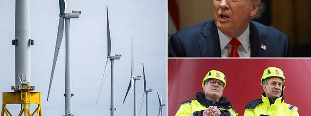 Featured image for: Trump Claims Wind Energy Drives Up Costs and Politicians Out Trump Claims Wind Energy Drives Up Costs and Politicians Out