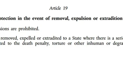 EU's Charter Blocks Mass Deportations, Leaving Nations Struggling with Migration Crisis