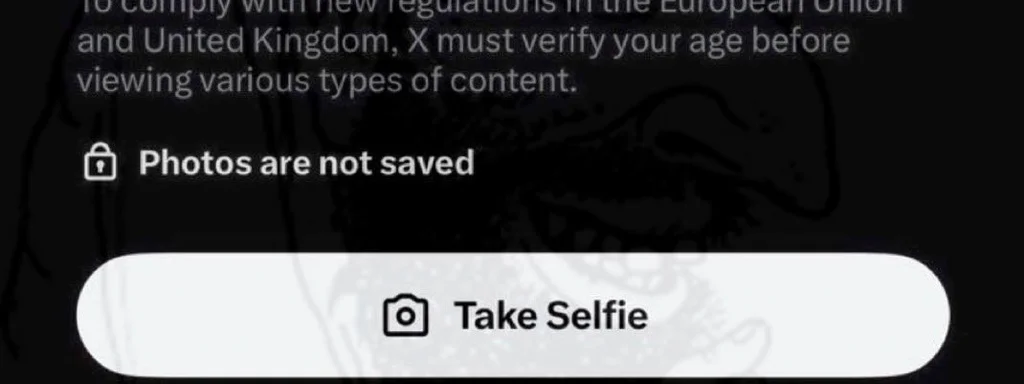 UK's Swift Online ID Verification Outpaces China's Efforts, Sparking Debate