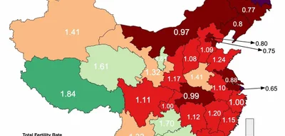 China's Northeast Provinces Face Demographic Crisis with Fertility Rates Plummeting Below 1.0