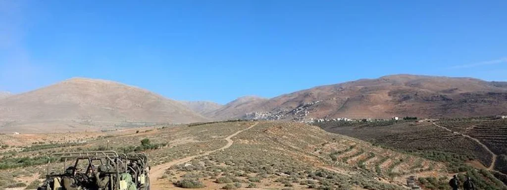 Breaking: Israeli Forces Seize 200+ Sheep from Syrian Village