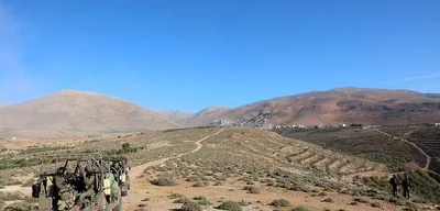 Breaking: Israeli Forces Seize 200+ Sheep from Syrian Village