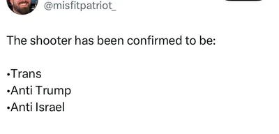 Minneapolis Shooting Sparks Debate on Anti-Israel Sentiment