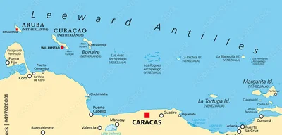 Trump Deploys Seven Warships Off Venezuela Amid Narco-Terrorism Crisis