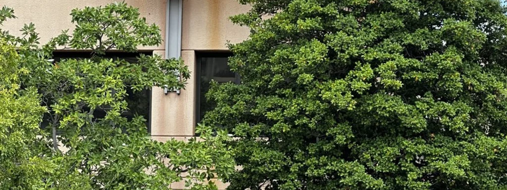 Featured image for: Capitol Police Heighten Security Outside DNC Headquarters Today Capitol Police Heighten Security Outside DNC Headquarters Today