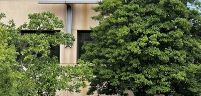 Capitol Police Heighten Security Outside DNC Headquarters Today