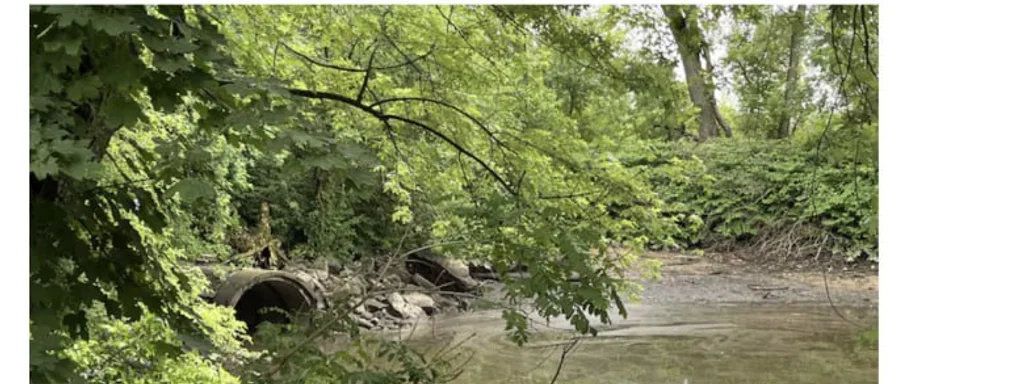 Featured image for: Philadelphia discharges 12.7 billion gallons of sewage into Delaware River annually Philadelphia discharges 12.7 billion gallons of sewage into Delaware River annually