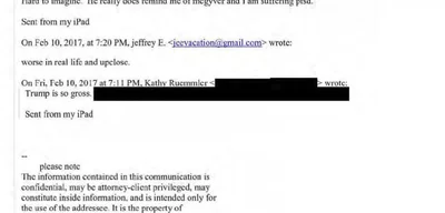 Jeffrey Epstein claims Trump is 'worse in real life' than described