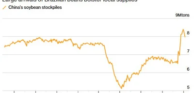China's Purchases of US Soybeans Stall After Trade Truce