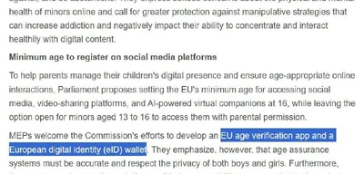 European Parliament votes for age verification on social media use