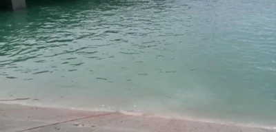 SDF destroys bridges in Um Tina and Deir Hafer, cutting access to Syrian Army areas