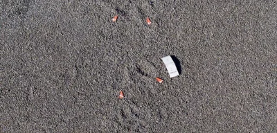 Sniper’s Position Revealed in Charlie Kirk Shooting Incident