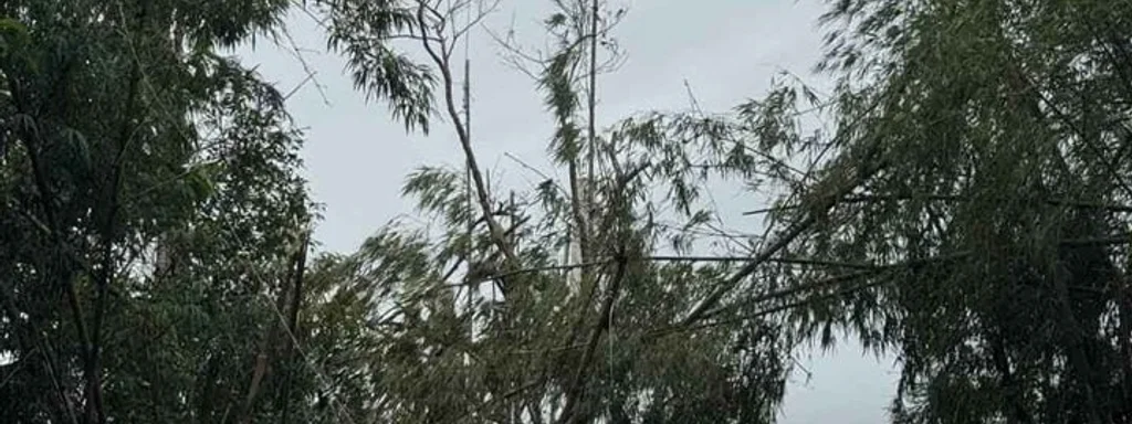 Thai Troops Seize Strategic Phu Makuea Summit, Escalating Tensions with Cambodia