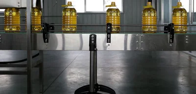 India Makes Historic Move, Purchases Record 1 Million Tons of Soyoil from China