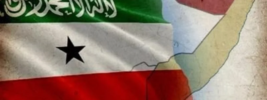 Somaliland Offers U.S. Military Base and Mineral Deals in Bold Push for Recognition