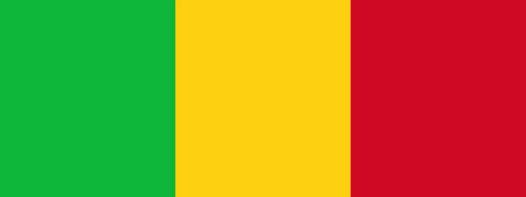 Over 30 Malian Army Officers, Including General, Detained Amid Coup Plot Allegations