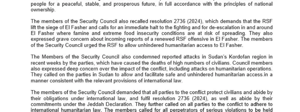 UN Security Council Rejects RSF’s Parallel Government in Sudan, Demands Immediate Siege Lift on El Fasher