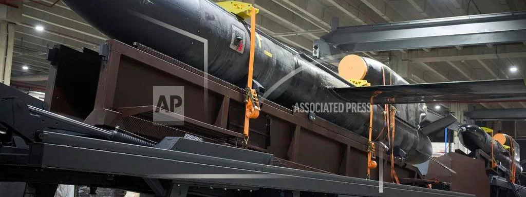 Ukraine's 'Flamingo' Missile Enters Production, Extending Strike Range to 3,000+ km