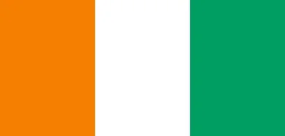 Four Ivorian Soldiers Killed in Attack Near Burkina Faso Border