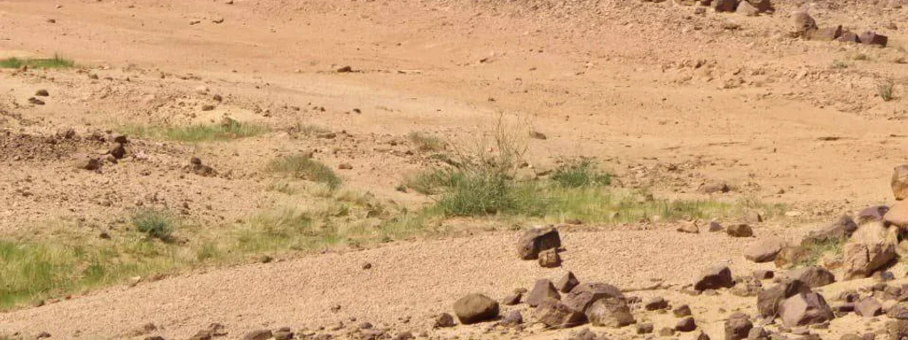 Azawad Rebels Strike Malian Army, Disrupt Logistics in North