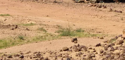 Azawad Rebels Strike Malian Army, Disrupt Logistics in North