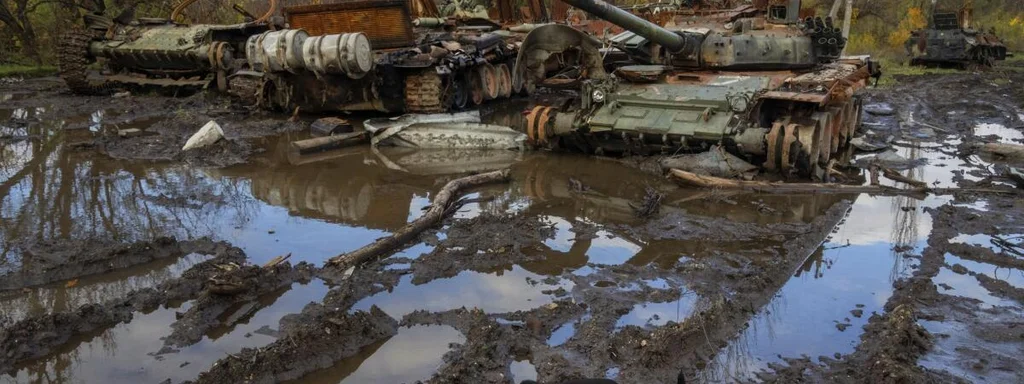 Finland and Poland Transform Wetlands Into Strategic Defense Barriers