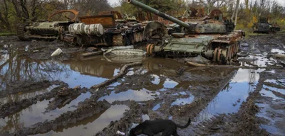 Finland and Poland Transform Wetlands Into Strategic Defense Barriers